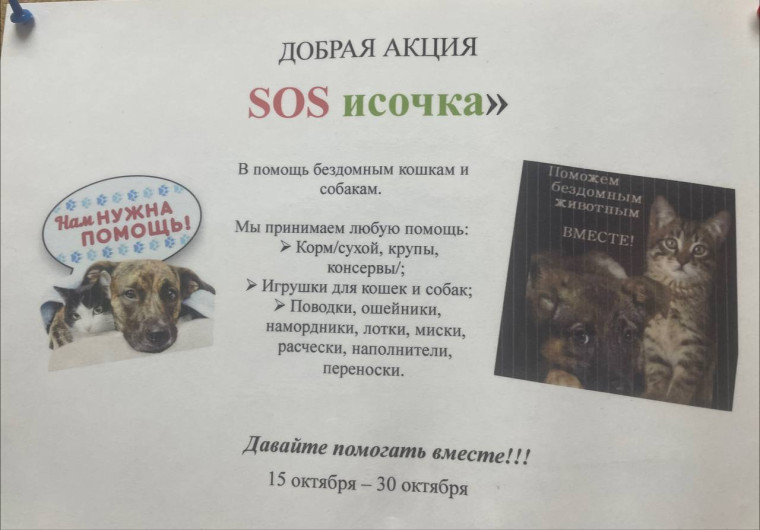 Добрейшая акция "SOSиска" в помощь бездомным кошкам!.